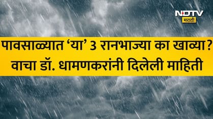 पावसाळ्यात सांधेदुखी,अंग आखडण्याच्या समस्येने हैराण आहात? निरोगी आरोग्यासाठी डॉ धामणकरांनी सांगितल्या 12 टिप्स