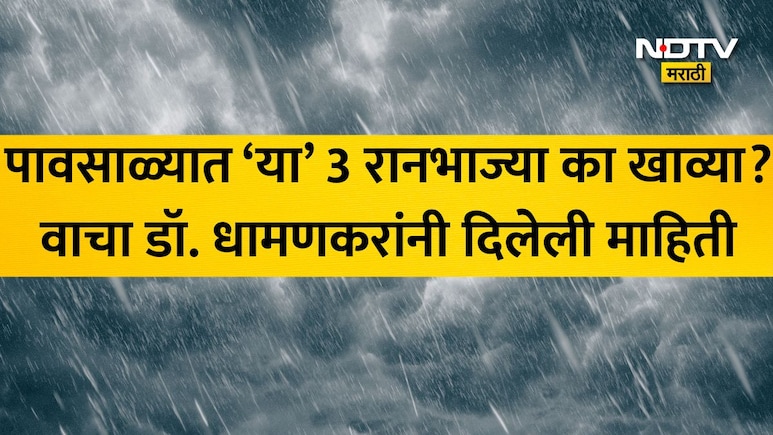 पावसाळ्यात सांधेदुखी,अंग आखडण्याच्या समस्येने हैराण आहात? निरोगी आरोग्यासाठी डॉ धामणकरांनी सांगितल्या 8 टिप्स