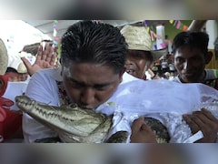 मेयर ने मगरमच्छ से रचाई शादी, Kiss करके बयां की मोहब्बत, जानें आखिर क्यों करना पड़ा ये अजीबोगरीब काम