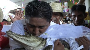 VIDEO: मेयर ने मगरमच्छ से रचाई शादी, Kiss करके बयां की मोहब्बत, जानें आखिर क्यों करना पड़ा ये अजीबोगरीब काम