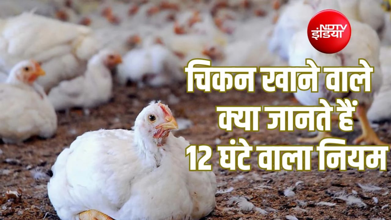 Explainer: तमिलनाडु में 31 जुलाई से चिकन की बिक्री क्यों बंद की जा रही है? क्या है पूरा मामला