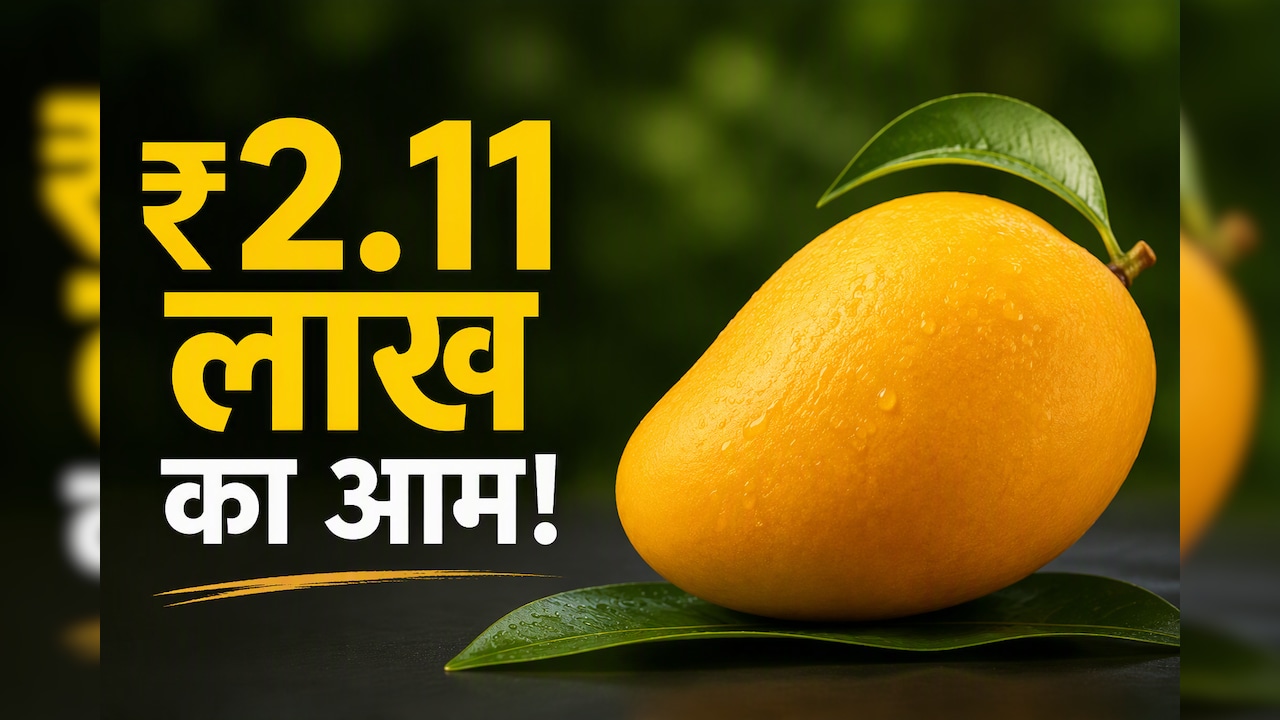 Worlds Most Expensive Mango: ₹2.11 लाख किलो बिकता है ये आम, क्या है मियाजाकी आम की खासियत?