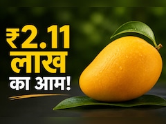 दुनिया का सबसे महंगा आम! सिर्फ 1 किलो की कीमत ₹2.11 लाख, आखिर क्यों है इतना खास? Recipe