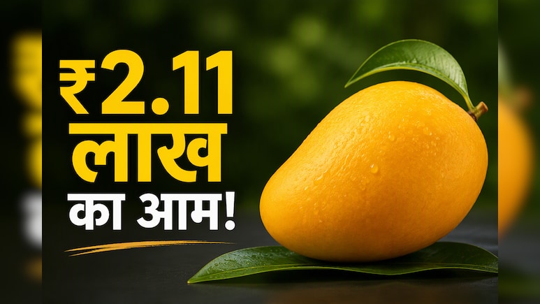 Worlds Most Expensive Mango: ₹2.11 लाख किलो बिकता है ये आम, क्या है मियाजाकी आम की खासियत?