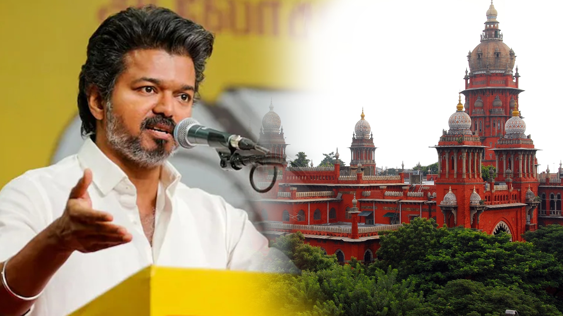 Tamil Nadu Cow Ban Row: Vijay Moves Supreme Court Against HC Ruling