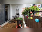 खाली पड़ी बालकनी रेलिंग बन सकती है मिनी गार्डन, ये 5 आसान DIY आइडियाज बदल देंगे लुक