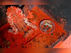 Hanuman Idol Stolen Near Tirumala Hills In Andhra Recovered Within 15 Hours