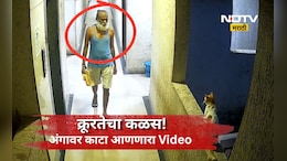 Ambernath News: 12 व्या मजल्यावरून ढकललं, परस्पर दफन करण्याचा ही प्रयत्न, पण तिसऱ्या डोळ्यामुळे गेम खल्लास