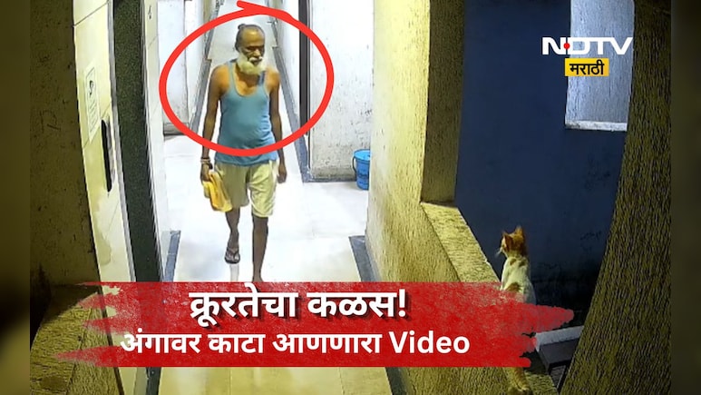 Ambernath News: 12 व्या मजल्यावरून ढकललं, परस्पर दफन करण्याचा ही प्रयत्न, पण तिसऱ्या डोळ्यामुळे गेम खल्लास