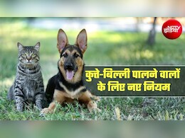 कुत्ते-बिल्लियों का भी रजिस्&zwj;ट्रेशन जरूरी! इस शहर में लोगों के पास 2 महीने का समय, नहीं तो 5,000 रुपये जुर्माना
