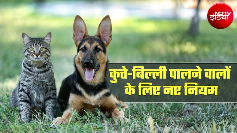 कुत्ते-बिल्लियों का भी रजिस्&zwj;ट्रेशन जरूरी! इस शहर में लोगों के पास 2 महीने का समय, नहीं तो 5,000 रुपये जुर्माना