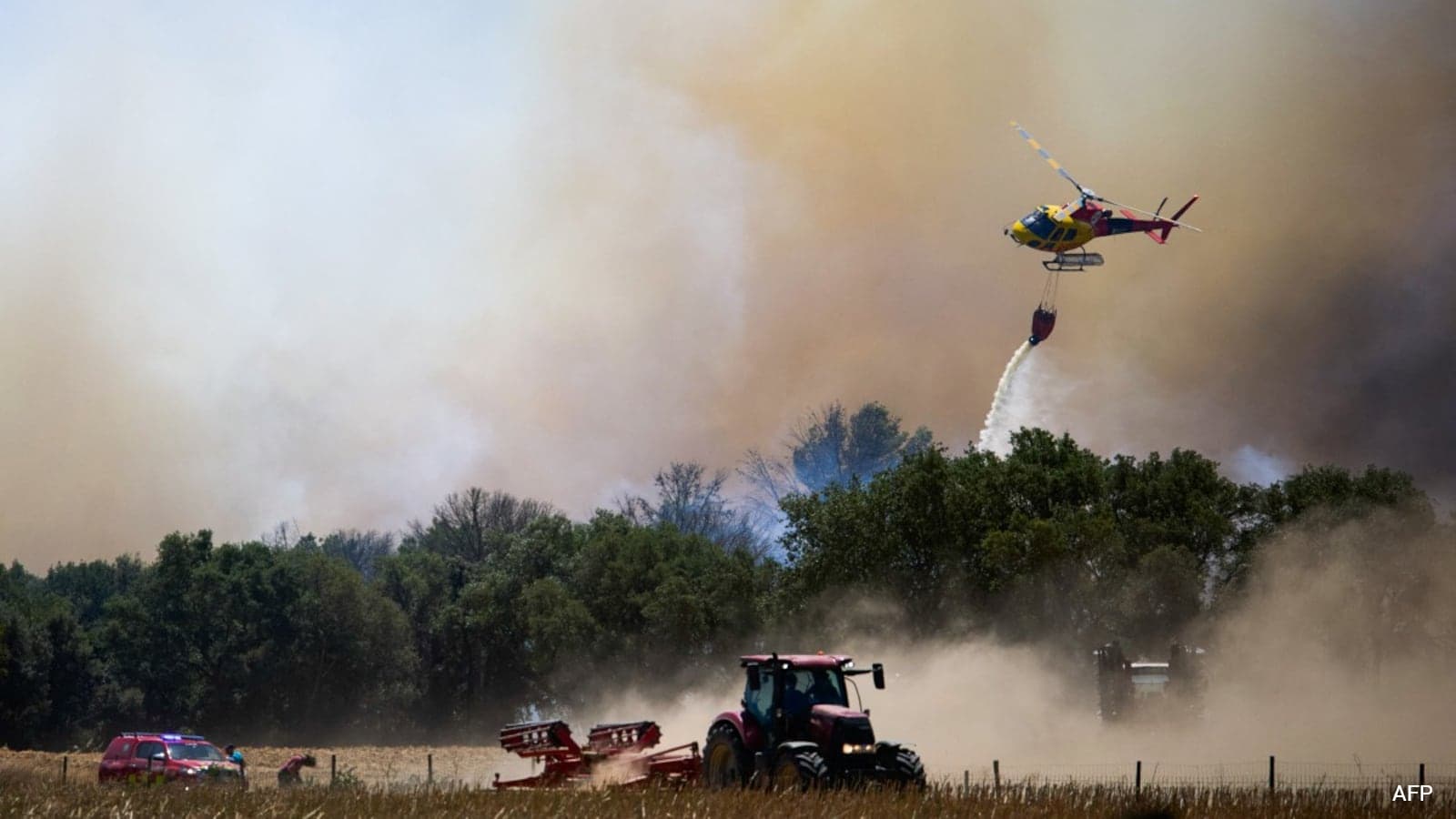 Wildfire in Southern Spain's Almeria Causes 12 Deaths Amid Heatwave
