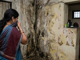 Monsoon Home Care: पावसाळ्यात घराच्या भिंतींना ओल आलीय? खिशातला एकही रुपया खर्च न करता 'अशी' मिळवा सुटका