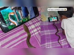 VIDEO: ऐसा मंजर कभी नहीं देखा होगा, मजे से कार्टून देख रहा था बच्चा, बगल में मोबाइल स्क्रीन घूरता नजर आया सांप