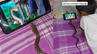 ऐसा मंजर कभी नहीं देखा होगा, मजे से कार्टून देख रहा था बच्चा, बगल में मोबाइल स्क्रीन घूरता नजर आया सांप