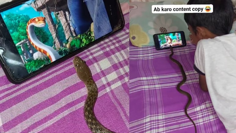 VIDEO: ऐसा मंजर कभी नहीं देखा होगा, मजे से कार्टून देख रहा था बच्चा, बगल में मोबाइल स्क्रीन घूरता नजर आया सांप