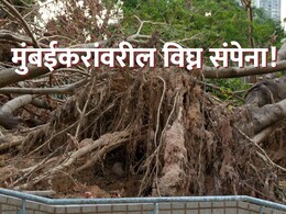 Mumbai News : मुंबईकरांवरील विघ्न संपेना! कोसळलेलं झाड पाहायला गेलेल्यांवरच 'संक्रांत'; 9 जणं रुग्णालयात भरती