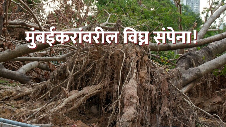 Mumbai News : मुंबईकरांवरील विघ्न संपेना! कोसळलेलं झाड पाहायला गेलेल्यांवरच 'संक्रांत'; 9 जणं रुग्णालयात भरती