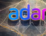 Goldman Sachs, BlackRock, Blackstone Among Top Investors As Adani QIP Sees Solid Demand