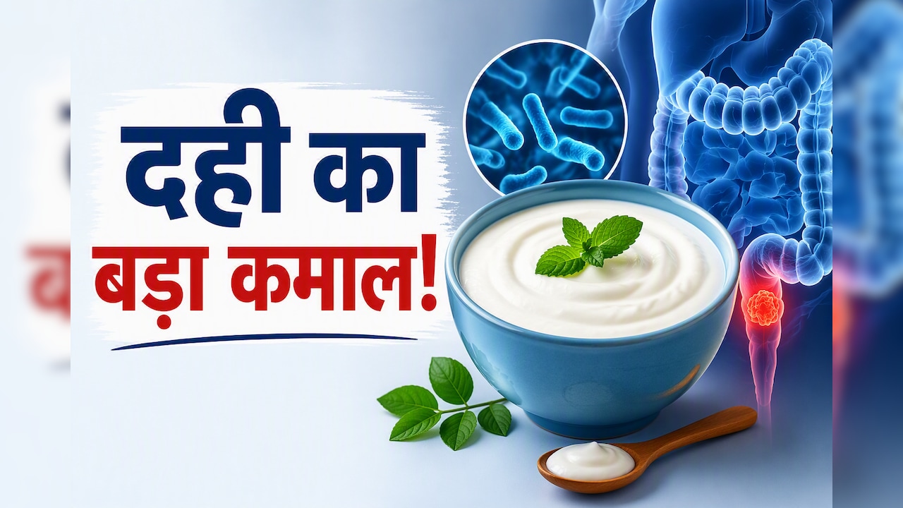 क्या दही और प्रोबायोटिक्स से कम हो सकता है कोलोरेक्टल कैंसर का खतरा-स्टडी में बड़ा खुलासा