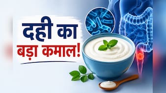 क्या दही और प्रोबायोटिक्स से कम हो सकता है कोलोरेक्टल कैंसर का खतरा-स्टडी में बड़ा खुलासा