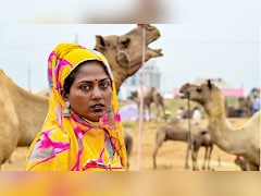 सबसे छोटे मालवी ऊंट की बड़ी चर्चा, जानिए इस नस्ल के ऊंटों की क्या है  खासियत