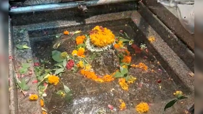 सावन का पहला दिन: रिमझिम बारिश में उमड़ा शिवभक्ति का सैलाब, ओंकारेश्वर में गूंजा 'हर-हर महादेव'