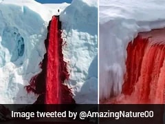 This Antarctic Waterfall Looks Like It's Bleeding. Scientists Finally Solve The Mystery