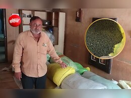 मूंग की रिकॉर्ड पैदावार बनी किसानों की परेशानी, MSP पर सिर्फ 25% ही खरीद रही सरकार