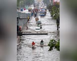 Mumbai Rain News Live: IMD Issues Red Alert, High Tide Likely By Afternoon