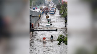 Mumbai Rain News Live Updates: IMD Issues Red Alert, High Tide Likely By Afternoon