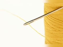 Japanese Woman Arrested For Sewing Housemate's Lips Shut