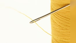 Japanese Woman Arrested For Sewing Housemate's Lips Shut