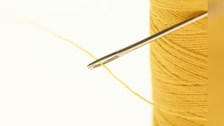 Japanese Woman Arrested For Sewing Housemate's Lips Shut
