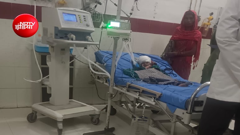 डेढ़ साल की बच्ची की मौत के बाद फिर आवारा कुत्तों का कहर; रायचूर में 4 साल के मासूम का सिर नोचा
