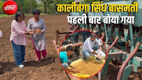 जबलपुर में उगेगा सिंधु घाटी सभ्यता के दौर का चावल, बिना खाद-कीटनाशक के तैयार होता है बीज, फायदे भी कमाल&nbsp;