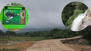कभी नक्सलियों के साए में थी यहां की खूबसूरती, अब गोलियां नहीं, हॉर्नबिल की आवाज गूंज रही; देखें VIDEO और फोटो