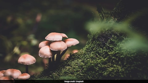 Story image