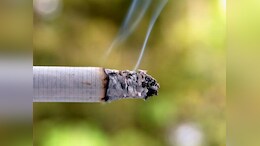 Centre To Kerala HC: Nicotine, Tar Labels Could Mislead Smokers