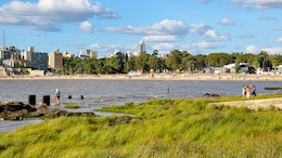 11 Years Of 0% Tax On Foreign Income: Uruguay's 'Plan B' Residency Deal Is Insane
