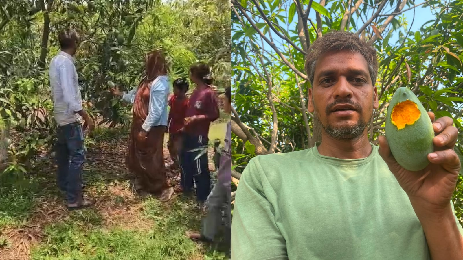 आसपास के कई गांवों तक कन्हैयालाल की चर्चा है, वो अन्य किसानों को भी खेती की जानकारी देते हैं. आसपास के कई गांवों तक कन्हैयालाल की चर्चा है, वो अन्य किसानों को भी खेती की जानकारी देते हैं.