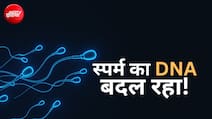 पॉल्यूशन से बदल रहा है आपका डीएनए, फर्टिलिटी पर नई स्टडी के चौंकाने वाले नतीजे