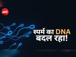 पॉल्यूशन से बदल रहा है आपका डीएनए, फर्टिलिटी पर नई स्टडी के चौंकाने वाले नतीजे