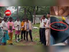 ग्रामीणों ने योद्धा बनकर बचा लिए हजारों पेड़! एक कीड़े पर था 2 रुपये इनाम, 10 लाख कीट लेकर आ गए गांव वाले