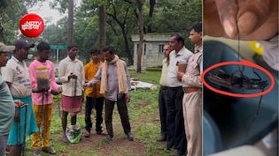 ग्रामीणों ने योद्धा बनकर बचा लिए हजारों पेड़! एक कीड़े पर था 2 रुपये इनाम, 10 लाख कीट लेकर आ गए गांव वाले