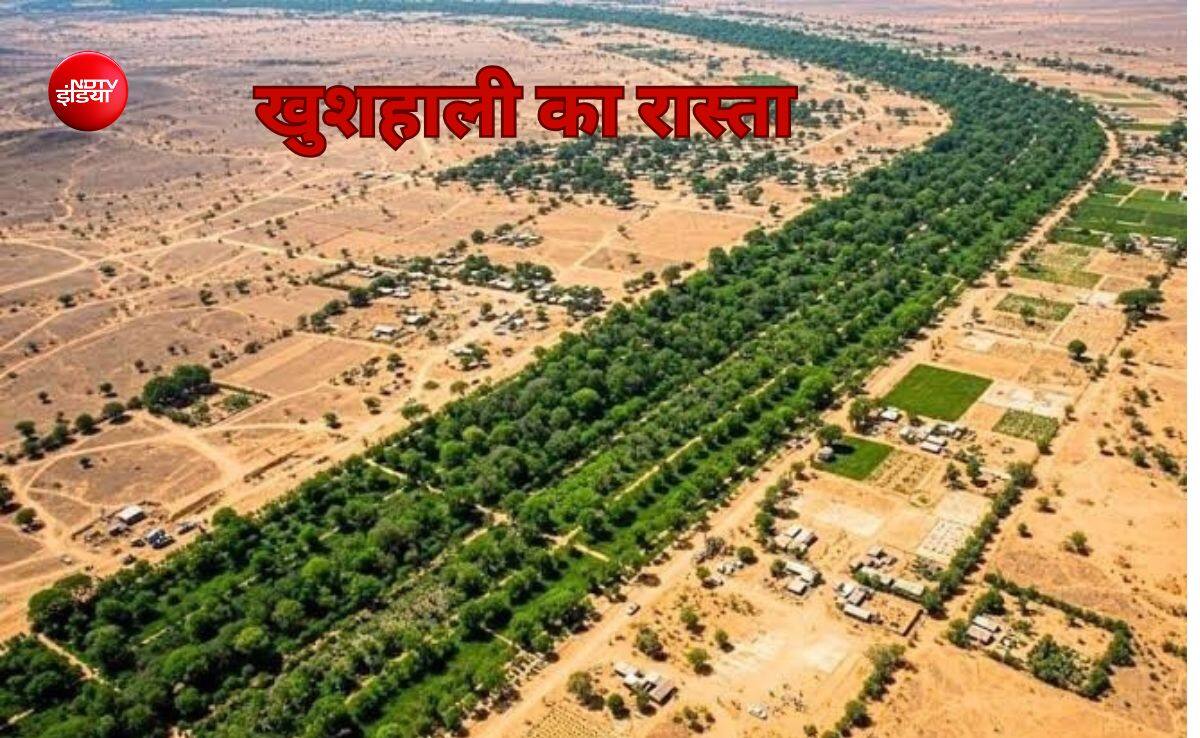 दुनिया के गरीब देशों ने उठाया संसार को बचाने वाला कदम, बन रही 8000 किलोमीटर ग्रेट ग्रीन वॉल