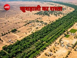 दुनिया के गरीब देशों ने उठाया संसार को बचाने वाला कदम, बन रही 8000 किलोमीटर ग्रेट ग्रीन वॉल