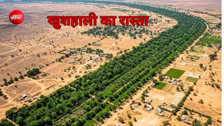 दुनिया के गरीब देशों ने उठाया संसार को बचाने वाला कदम, बन रही 8000 किलोमीटर ग्रेट ग्रीन वॉल