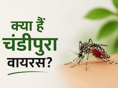 Explainer: चंडीपुरा वायरस क्या है? फिर से क्यों बन रहा है चिंता का कारण, हर माता-पिता को इसके बारे में पता होना चाहिए?