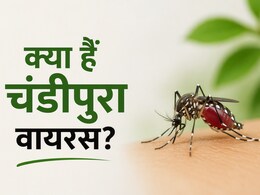 Explainer: चंडीपुरा वायरस क्या है? फिर से क्यों बन रहा है चिंता का कारण, हर माता-पिता को इसके बारे में पता होना चाहिए?